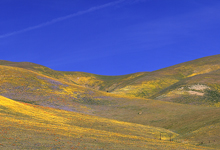 CONVsVsLSM_220x150