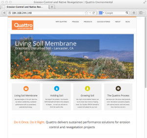 QUAwebsite copy