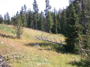 Beartooth Pass Scenic Byway in Montana