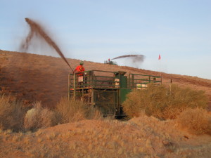 Hydroseeding soil amendments