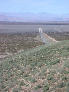 Re-establishing a functioning soil community is critical in the Mojave Desert.